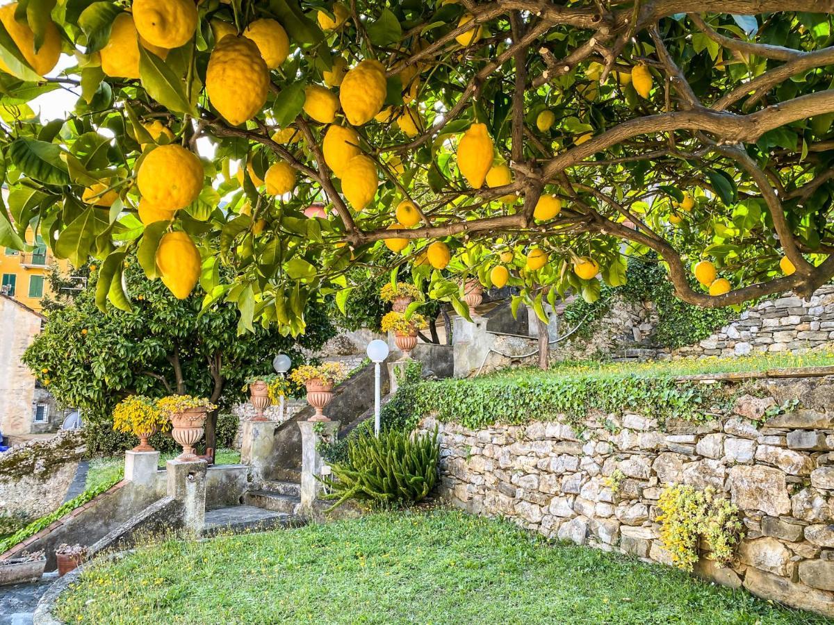 A~Mare Casa Vacanze Fezzano  Dış mekan fotoğraf